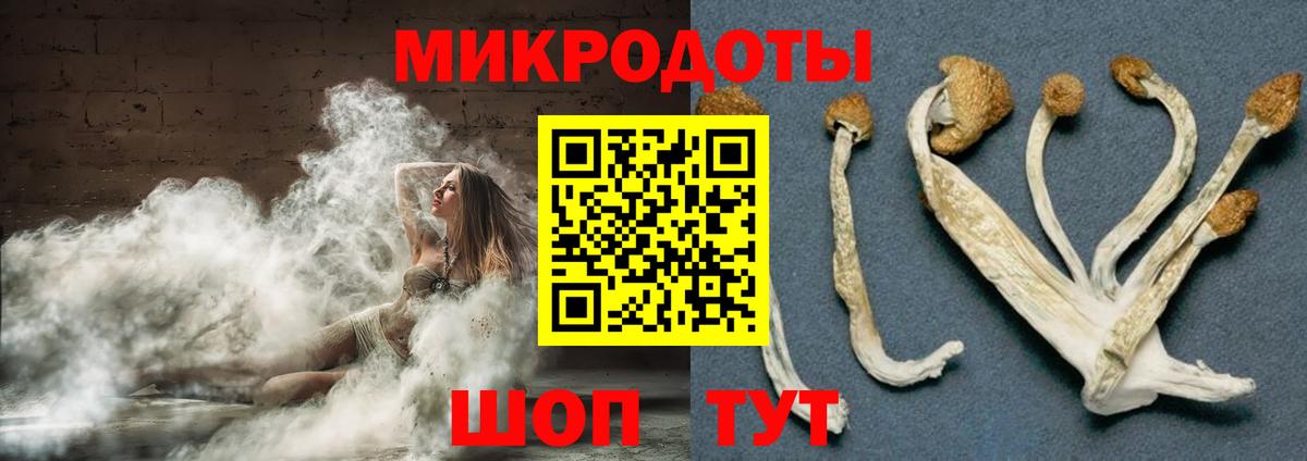 Красноуфимск  магазин продажи наркотиков  Вход с VPN  Псилоцибиновые грибы Psilocybe 