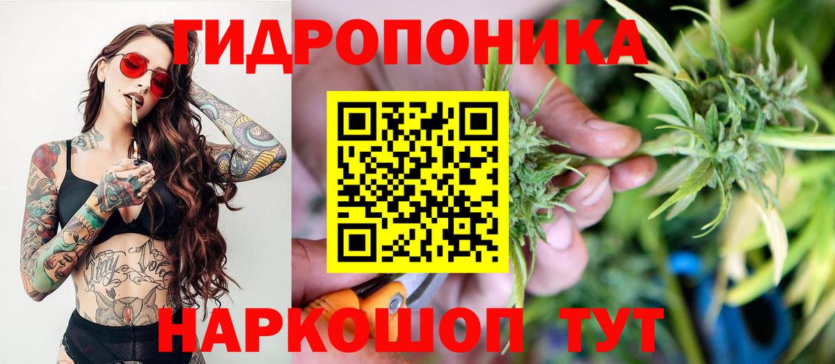 Шишки марихуана марихуана Красноуфимск